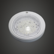 LED   12W 