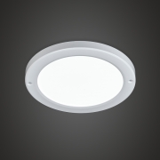 LED 8"   20W