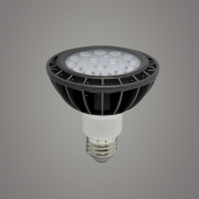 LED PAR30 15W