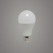 LED  10W